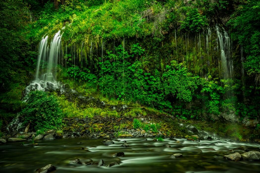 Seeing the forests, not just the trees